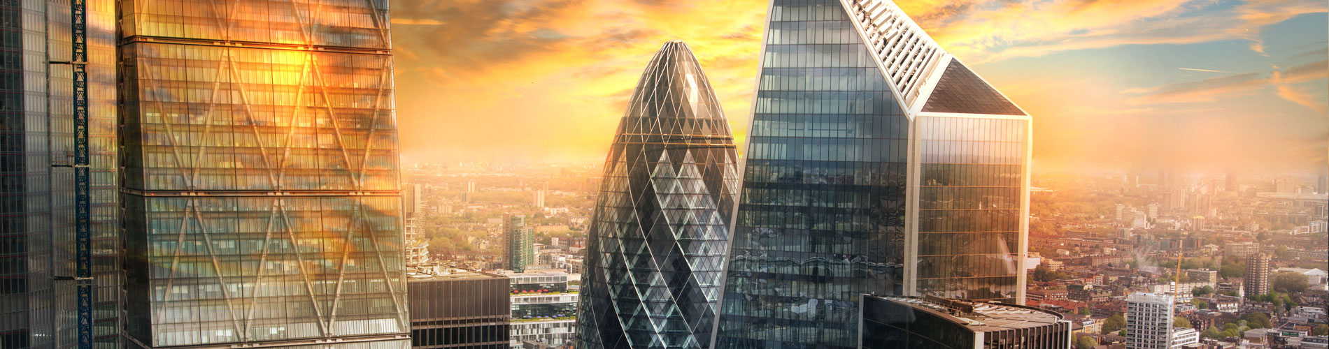 Market Insights & Weekly Briefings 2026 