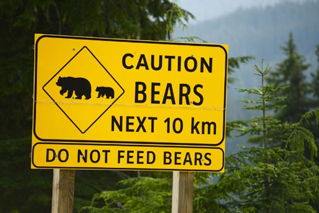 Do not feed the 'bears'!