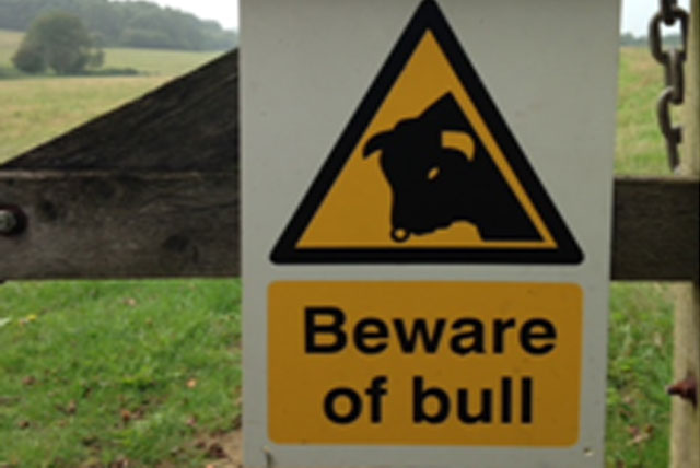 JAPAN - Beware of bull