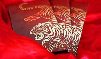 Will the year of the tiger be a roaring success for China?